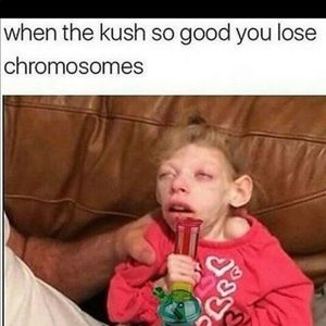 Meet your Posher, Alejandro